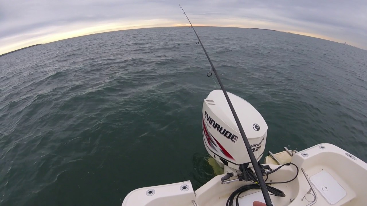 Vertically jigging Bluefish on the WRSC Rattle Bucktails here in