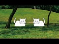 ねこ活動 #06