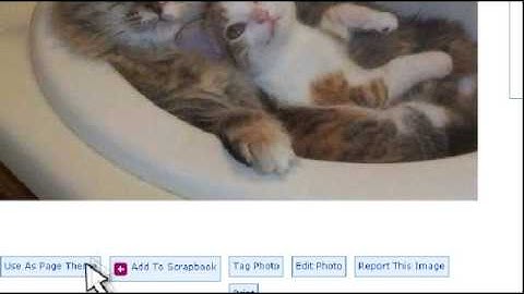 Customize MySpace with uploaded images and themes
