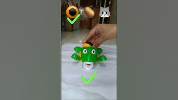 What do you want me to put on top of the turtle next #turtle​​ #coaster​​ #turtlecoaster​​