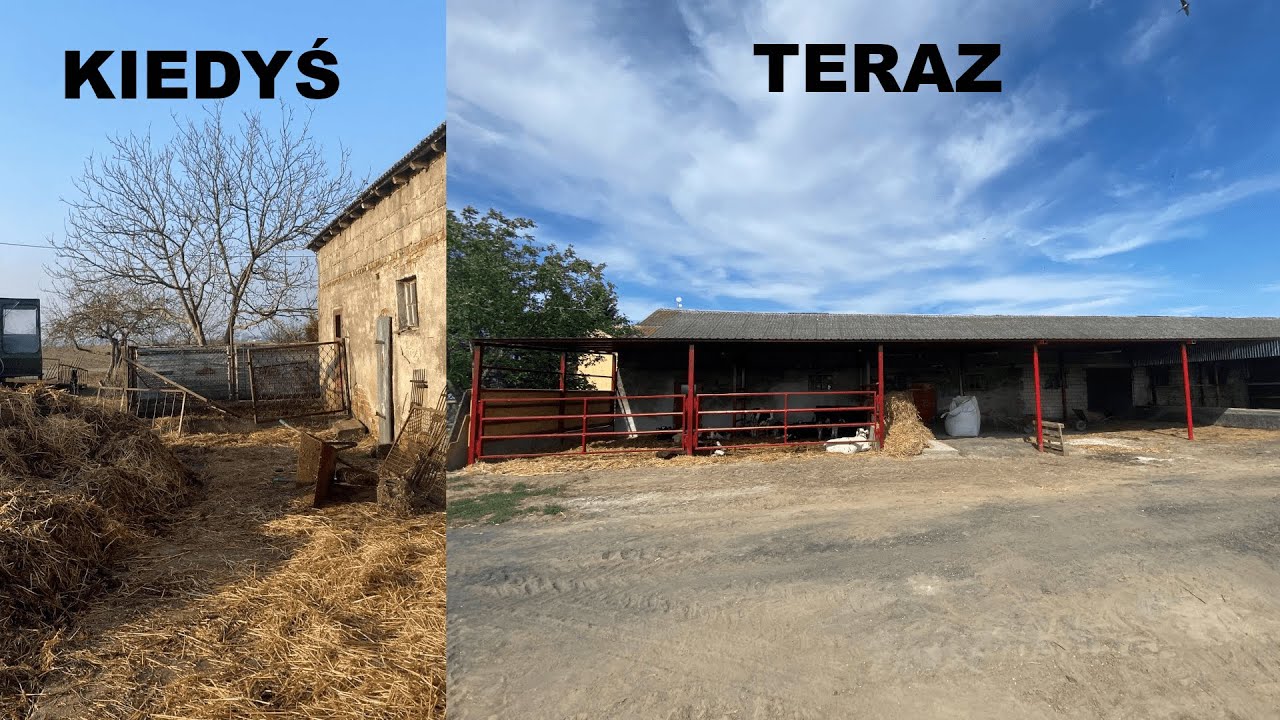 budowa wiaty dla bydła