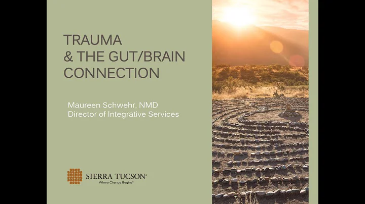 The Gut Brain Trauma Connection with Dr. Maureen S...