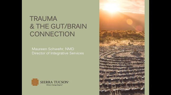 The Gut Brain Trauma Connection with Dr. Maureen Schwehr