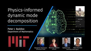 Physics-Informed Dynamic Mode Decomposition (piDMD)