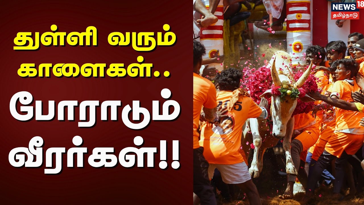 Jallikattu 2026 | துள்ளி வரும் காளைகள்.. போராடும் வீரர்கள் | Avaniyapuram Jallikattu 2026