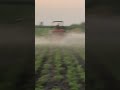 3 gun wiper sprayer, spraying in bengal gram field #agriculture #trending #viralshorts #shorts #new