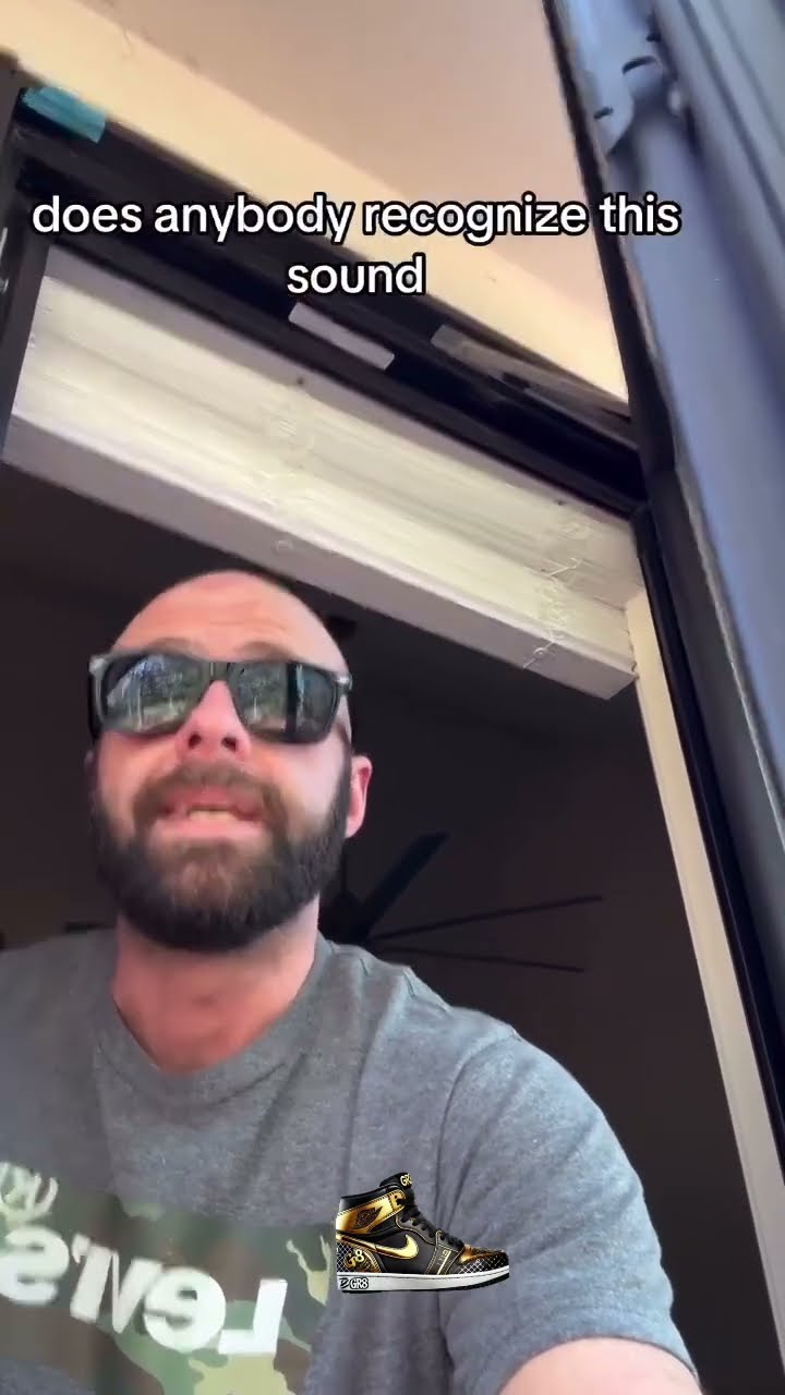 Powerful Vibes from the new neighbors
