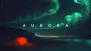 AURORA | Pulse8