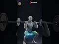 3D Front Squat Guide: Perfect Your Form for Stronger Quads
