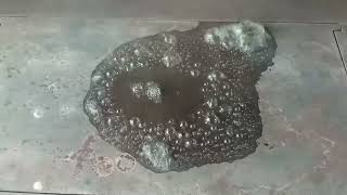 Een Broodje Aap Verhaal Van De Wappies Sneeuwballen Die Niet Smelten