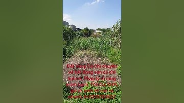 Bán lô đất 2/Nguyễn Kim Cương xã Tân Thạnh Đông,#DT:200m2 có 180m2 thổ cư, SHR, giá:2,35Tỷ