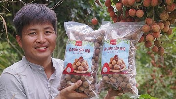 Vải Thiều Sấy Khô Bắc Giang 2025 - Bao Nhiêu Tiền 1kg?