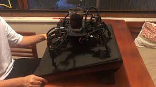 Self-Balancing Hexapod Robot
