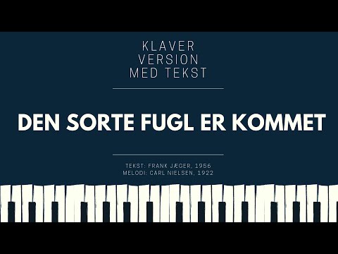 Video: Den sorte svane er en ædel fugl