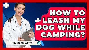 How To Leash My Dog While Camping? - PetGuide360.com