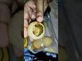 പാനീപൂരി 🥰#viralvideo #virashorts