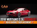 Blown Head Gasket? We Rebuilt This 2018 Mustang 2.3L EcoBoost + Timing Chain - The Car Edition