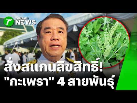 Suriya orders urgent review of 4 basil strain registrations | Oct 25, 2026 | Green Head Morning N...
