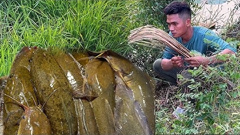 Thử Thách Một Mình Cắm Câu Đêm  Không Ngờ Dính Toàn Cá Lóc Khủng