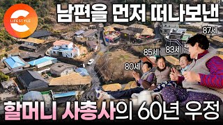 “딱 100살까지만 같이 살자” 남편들 다 먼저 떠나 보내고 우리들만 남았다. 나이들고 외로울 때 친구가 되어준 80대 할매 사총사의 우정ㅣ바라지 마을ㅣ#한국기행