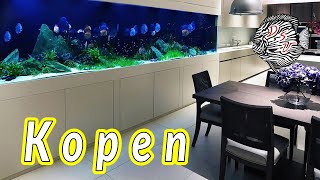 onderwijs strottenhoofd vijver Een aquarium kopen: waarop letten als je gaat een aquarium kopen? | Aquarium  Sunshine Valley - YouTube