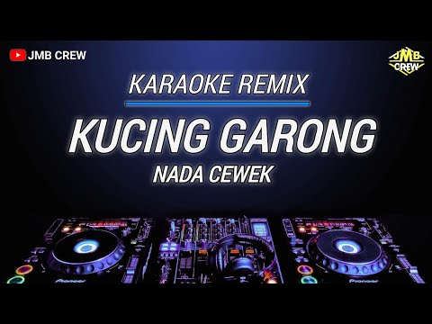 Karaoke Kucing Garong Dj Remix Nada Cewek