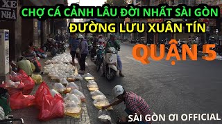 KHÁM PHÁ CHỢ CÁ CẢNH LÂU ĐỜI NHẤT SÀI GÒN - ĐƯỜNG LƯU XUÂN TÍN QUẬN 5