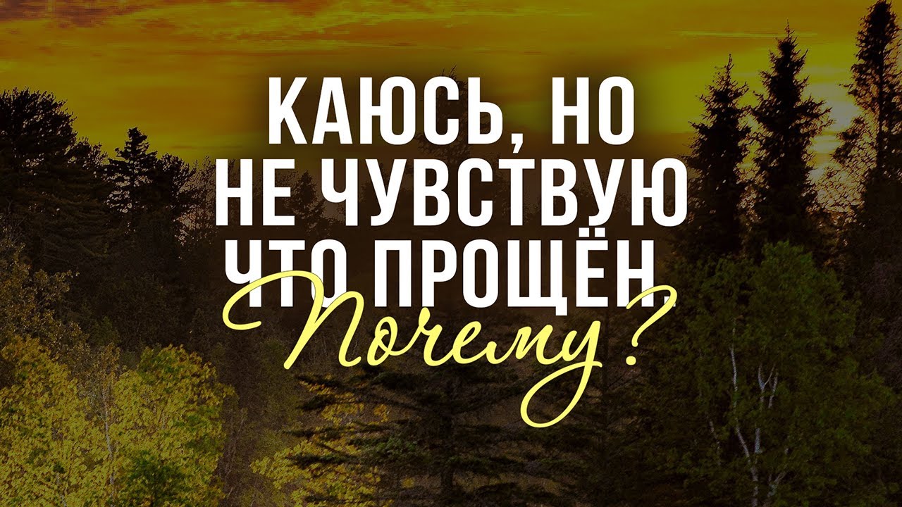 Каюсь, но не чувствую что прощён. Почему? (Андрей Резуненко)