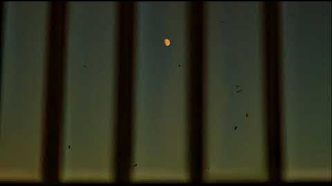 ما أجملها تلاوه عذبه ترق لها القلوب   عبد الرحمن المزجاجي