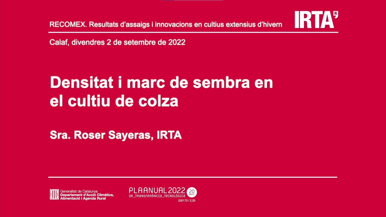 Densitat i marc de sembra en el cultiu de colza