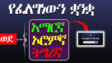 How to Use Google AI Studio for Language Translation in Amharic 