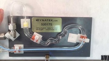 Dynatek Deploys Curved Stent
