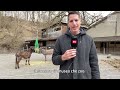 Svizzerando e lo zoo delle carezze | RSI Info