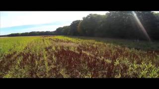 MOBIUS/ RUNCAM HD