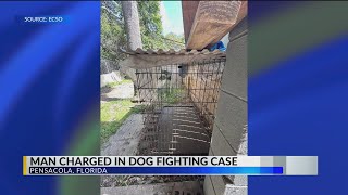 Pensacola man charged in dog fighting case