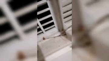 Detecting lightning with AM radio