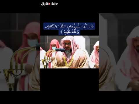 يا أيها النبي جاهد الكفار والمنافقين واغلظ عليهم