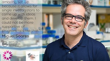 ERC 10 years | Miguel Soares @IGCiencia