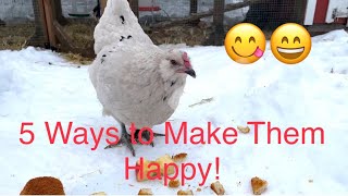 5 Ways To Keep Your Chickens Happy In The Winter
