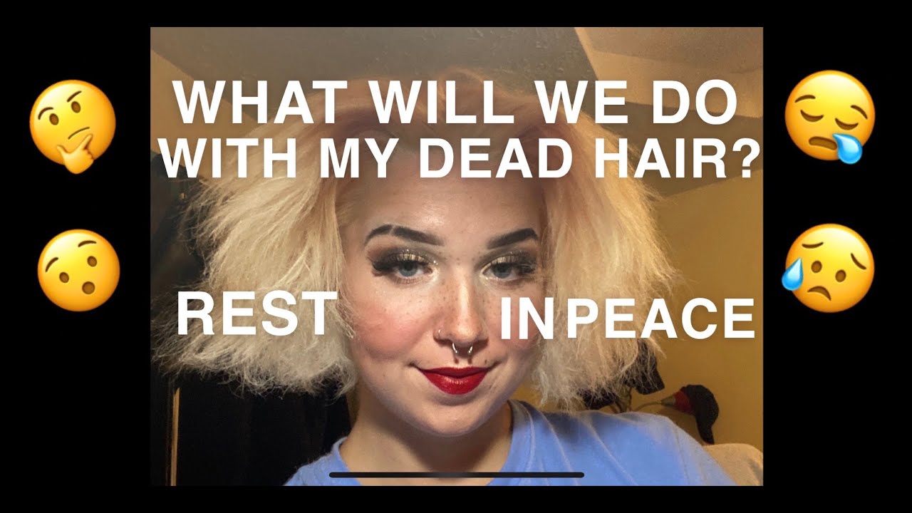 FIXING MY EXTREMELY DEAD HAIR YouTube