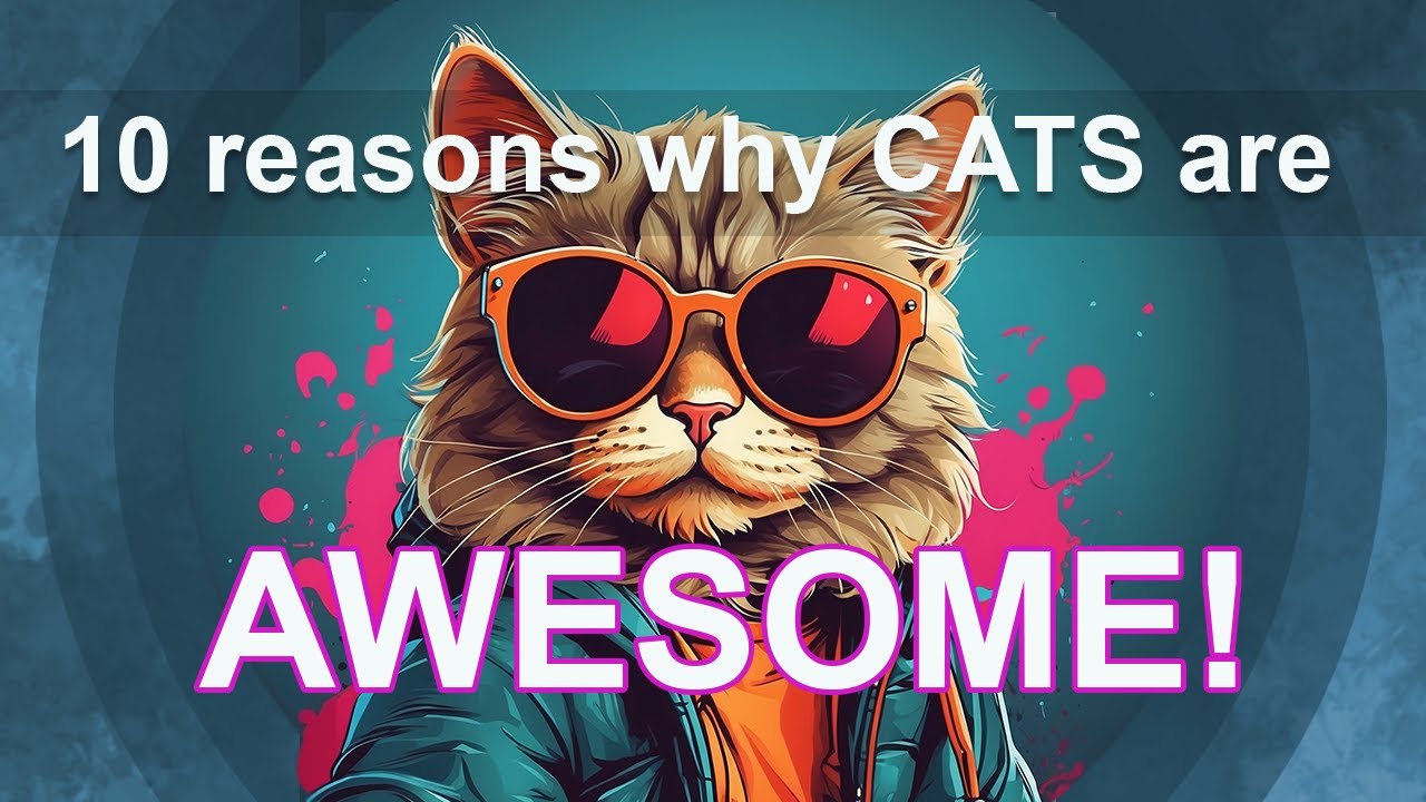10 Reasons why CATS are AWESOME! - YouTube