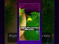 Jellyfish Fields Forbidden Crevice In SpongeBob Battle For Bikini Bottom Rehydrated 
