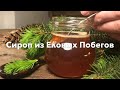 Сироп из Еловых Побегов 🌲 | Вкусно к десертам, ягодам и мясу😋 И оказывается, довольно полезно! 😉