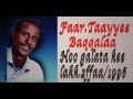 Faar Taayyee Baqqalaa Faar Taayyee Baqqalaa