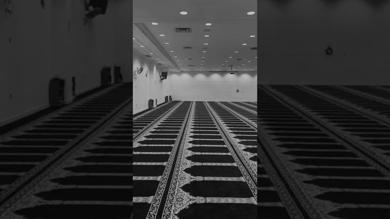 بعيدا عن ضجيج الحياة 🌹🌹