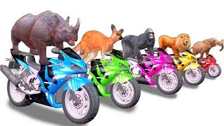 Learn Wild Animals Motorbike Race Video For Kids - Animals Names & Sounds For Children Toddlers