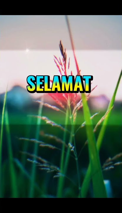 Selamat hari Kamis (story whatsapp keren