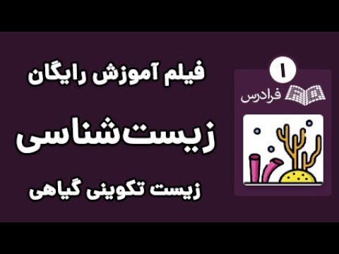 تصویری: اطلاعات روزنه های گیاهی - عملکرد روزنه در گیاهان چیست