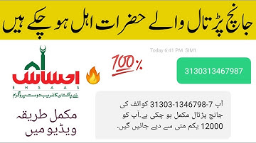UPDATE EHSAAS🔥 1-MAY-12000 |EHSAAS EMERGENCY CASH| INSAAF IMDAD |2020| JANCH PARTAL Ramzan Mubarak