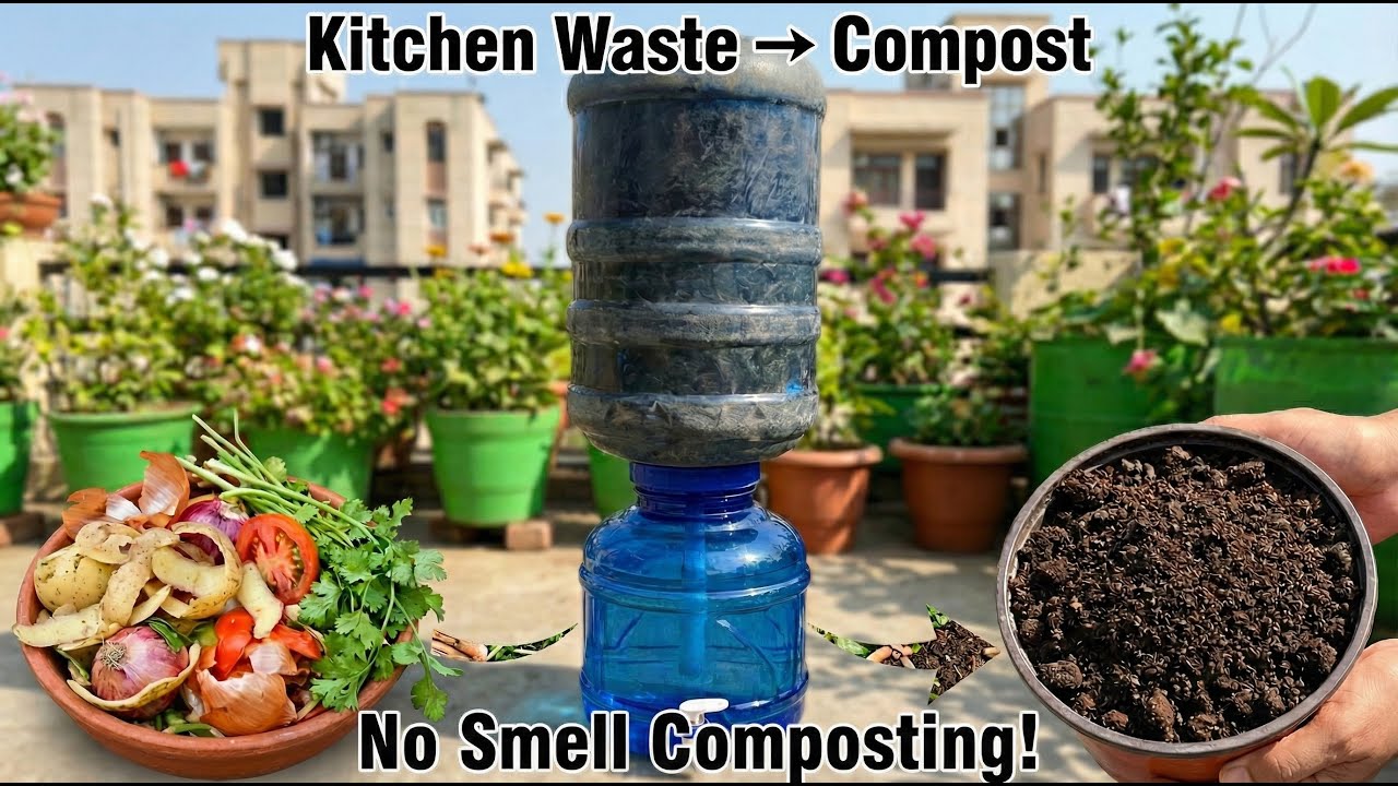 Kitchen Waste Composting on Terrace | Simple DIY Setup